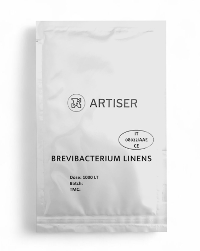 brevibacterum linens 1000l.png